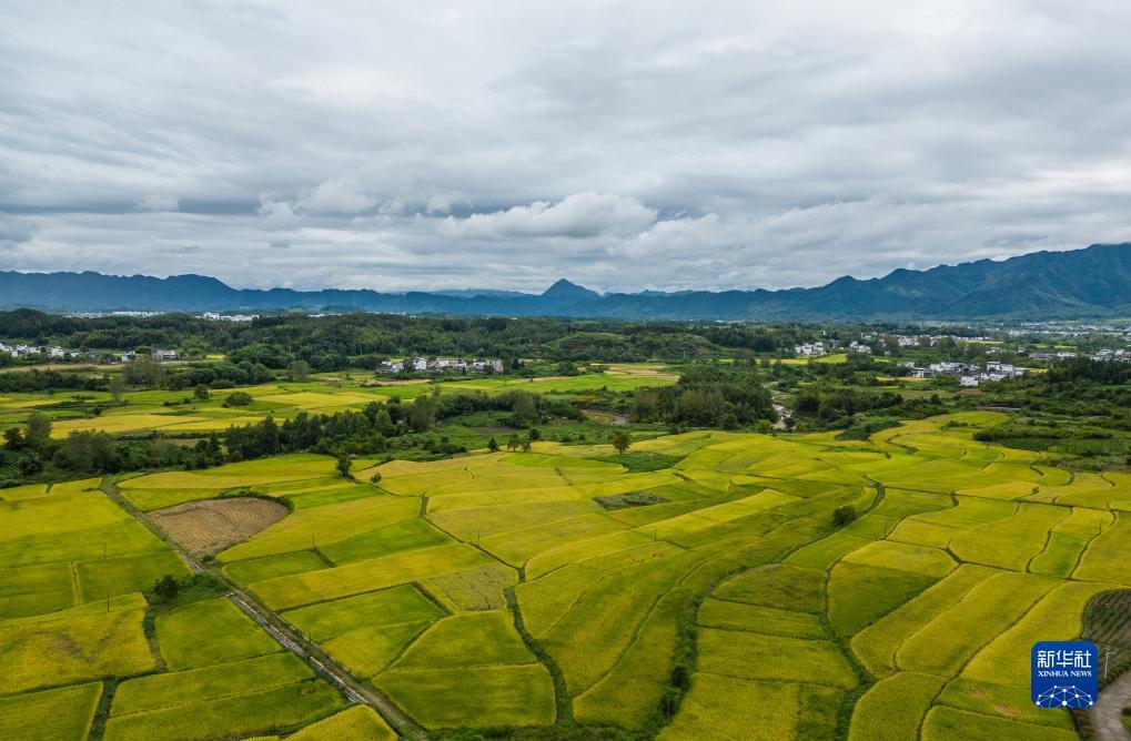 ku游平台靠谱么